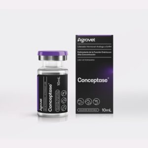 CONCEPTASE ®