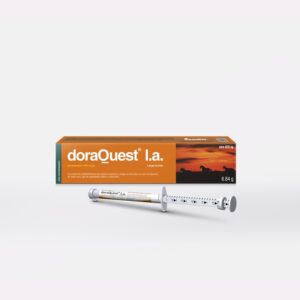 DORAQUEST ® L.A