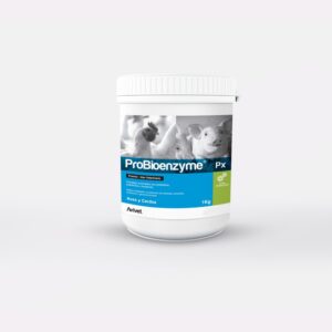 PROBIOENZYME ® PX